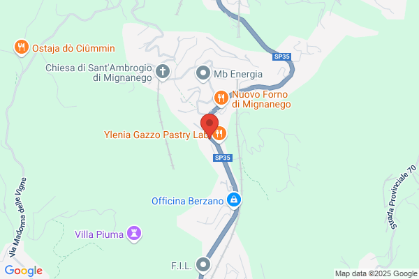 Peloso francesco