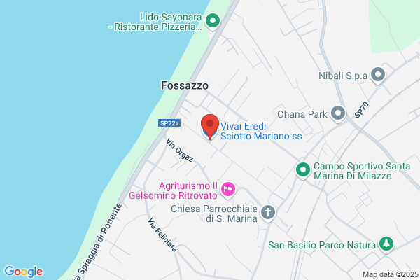 Vivai Eredi Sciotto Mariano