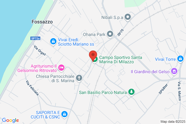 Scilipoti antonino (Prof.)