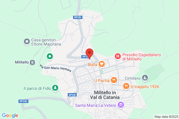 Ragusa augusto (Dr.)