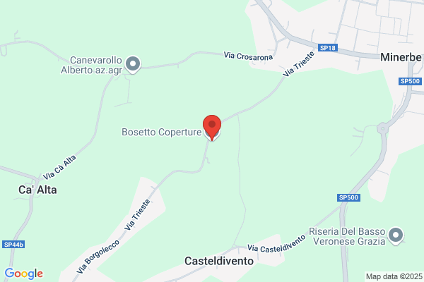 Bosetto Coperture