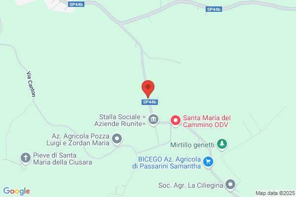 Motteran Vittorio & Figli