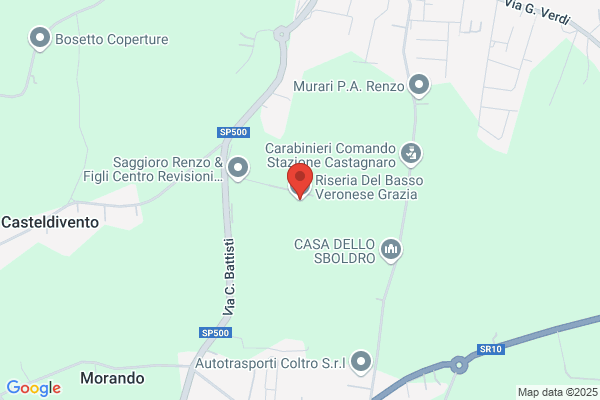 Verzobio raffaello