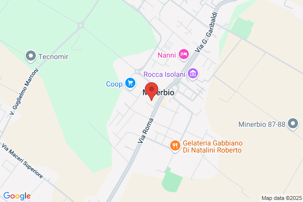 Mengoli tiziana