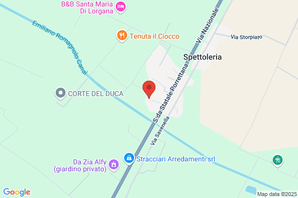 Montanari Amedeo Di Montanari Ruggero E Claudio