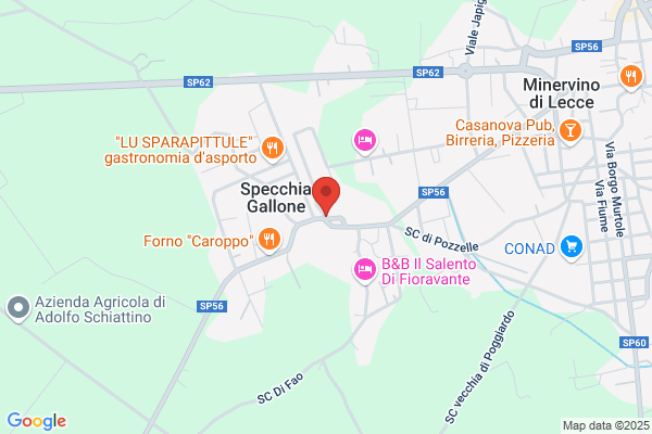 Follie Di Gatto Lucia