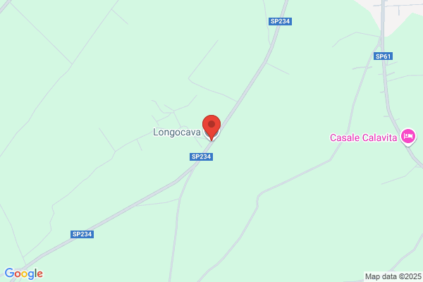 Longocava