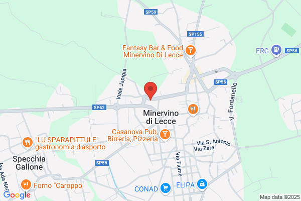 Ristorante Pizzeria Il Basco