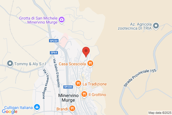 Municipio
