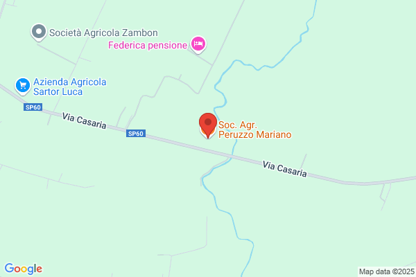 Peruzzo giorgio