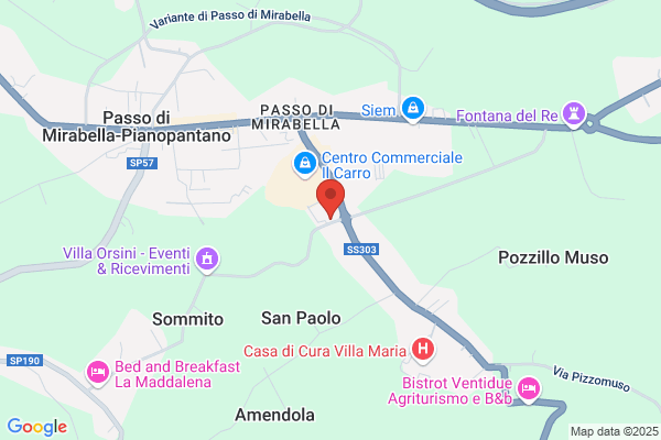 Mercatone Uno Services (S.P.A.)