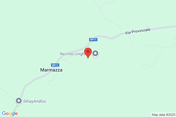 Studio Cristofori Catozzi