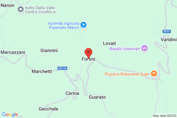 Fortini Giovanni