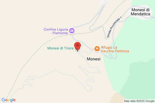 Monesi gessica