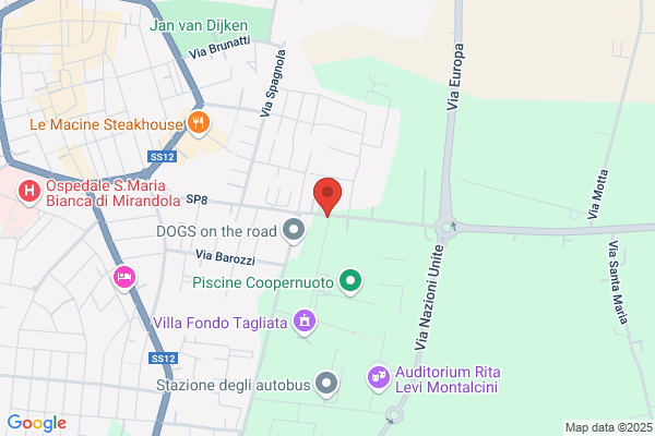 La Mirandola S.P.A.