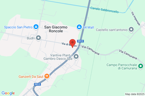 Mirandola Revisioni S.R.L.