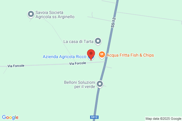 Ricco nadia