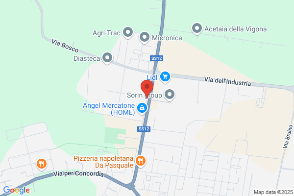 Medici maurizio