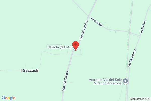 Saviola (S.P.A.)