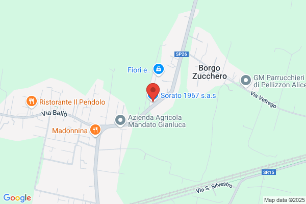 Sorgato maurizio