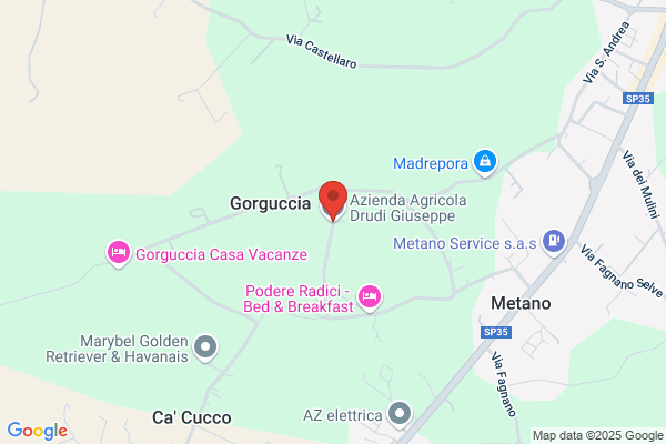 Filippucci Giuseppe