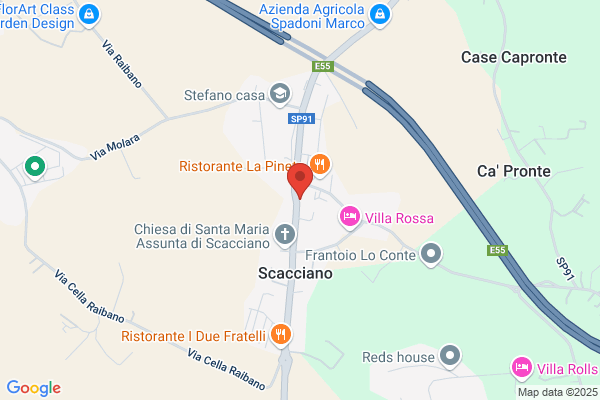 Tardini mario