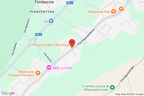 Gallu Che Pizza