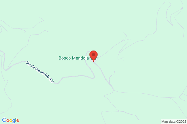 Mendola francesco
