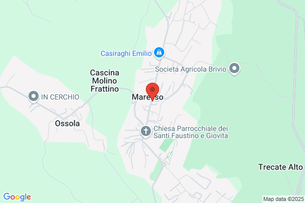 Meregalli Primo