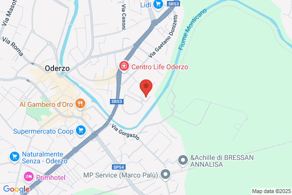 Revisione Auto Srl