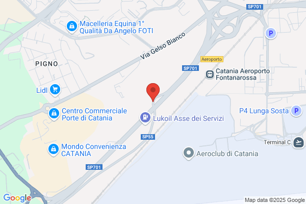 Findomestic Banca Spa