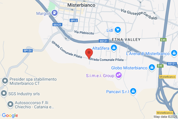 Lisi domenico