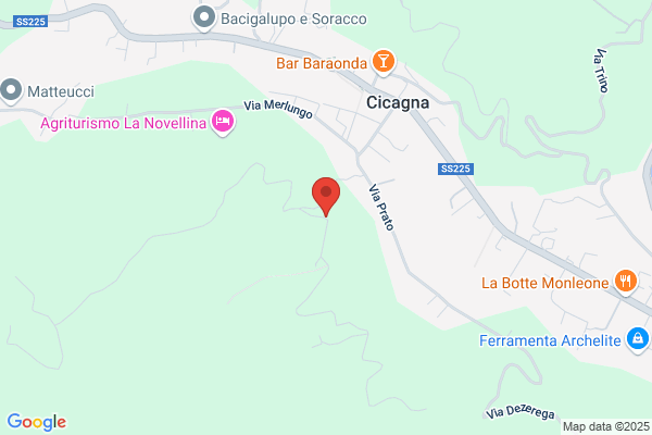 Comunità Alloggio per Anziani Villa Aurelia