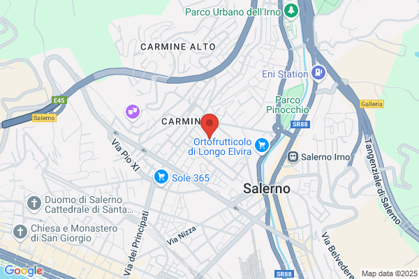 Istituto Salesiano S.Domenico Savio