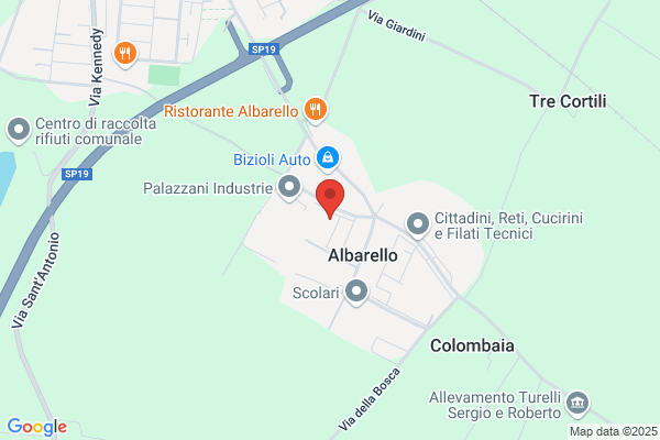 Turla antonino (Rag.)