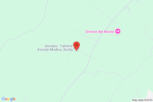 Fattorie Avicole Modica Di Iozzia Carmelo & C. sas