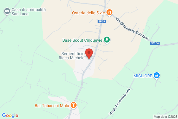 Ricca angelo