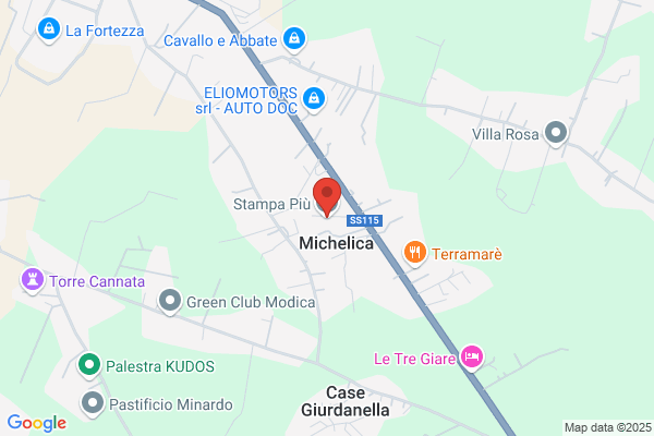 Stampa Più