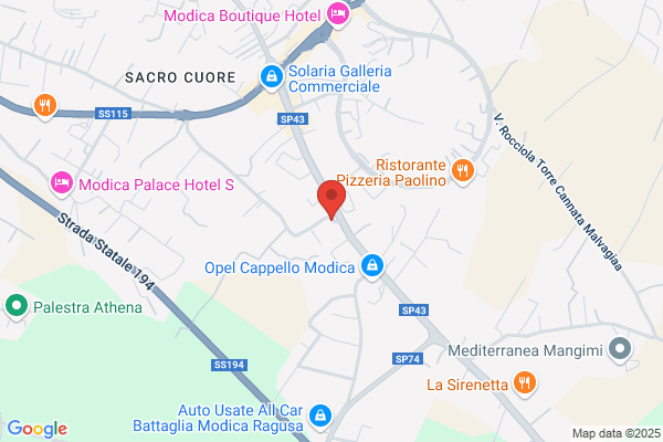 Trattoria Steakhouse Da Selvaggio
