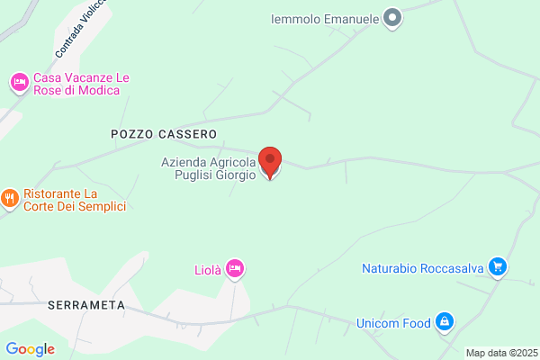 Puglisi vincenzo