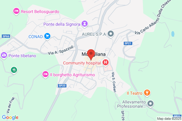 Massari graziella