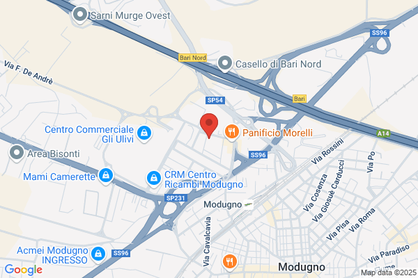 Mazzilli michele