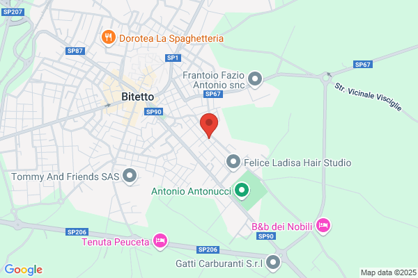 Lacalamita Giuseppe (Geom.)