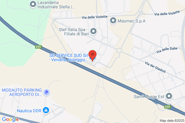 Palazzo Service Srl