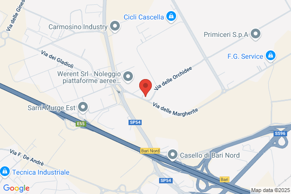 Ricciuti Sicurezza Di S.Ricciuti