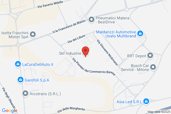 Skf Industrie (S.P.A.)