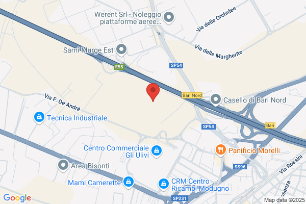 Conserva Domenico & Figli Trasporti S.R.L.