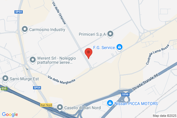 Nasca francesco