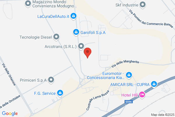 Nicola Amenduni Srl