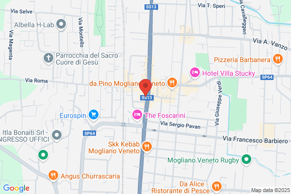 Immobiliare Alma S.R.L.